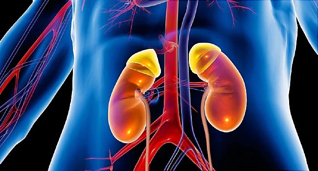 Kidney Cancer Treatment in Secunderabad, Hyderabad