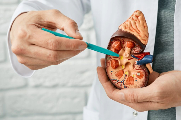 Lifestyle Changes To Reduce The Risk Of Kidney Cancer