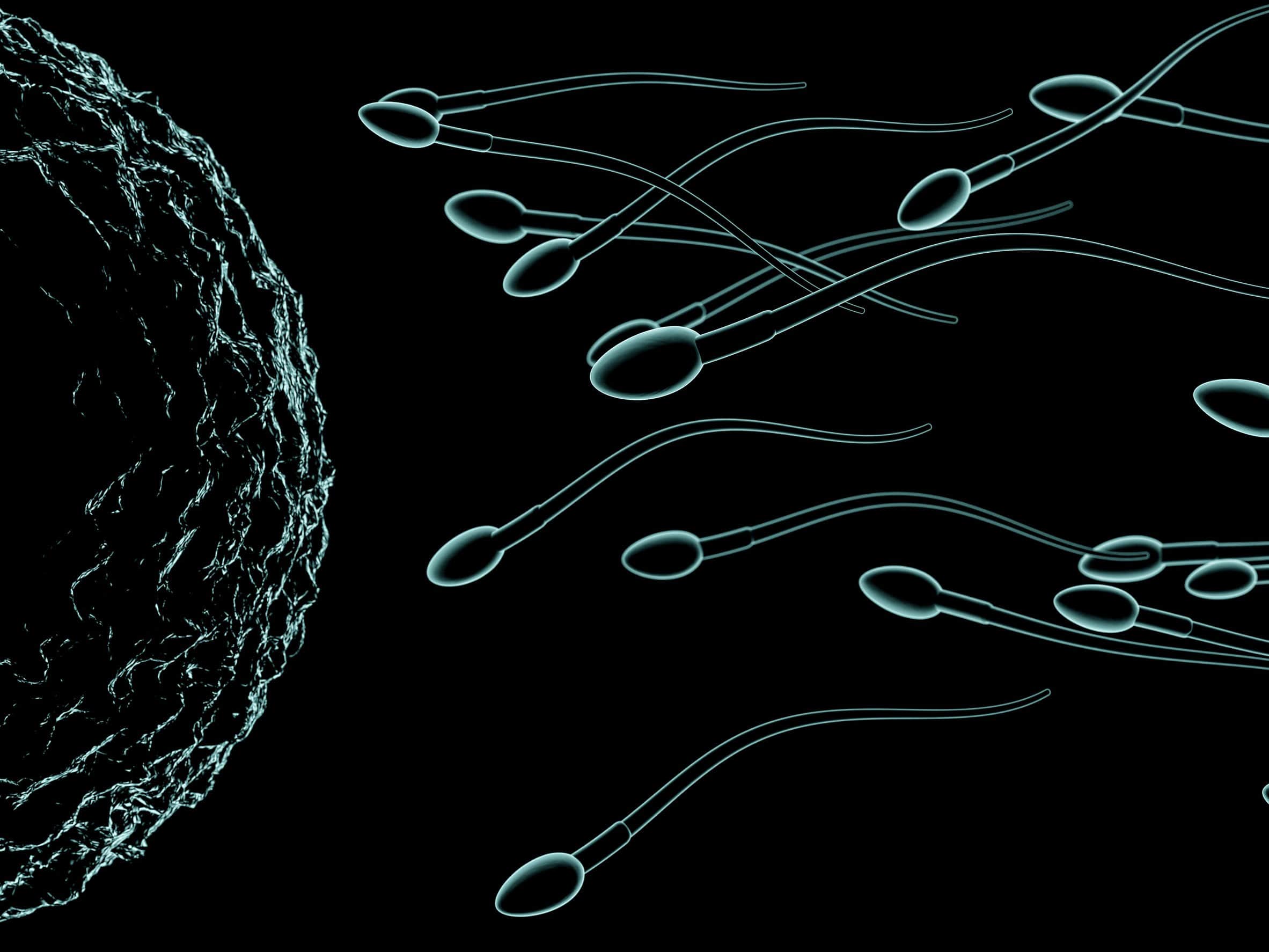 Male Infertility Treatment in Secunderabad, Hyderabad