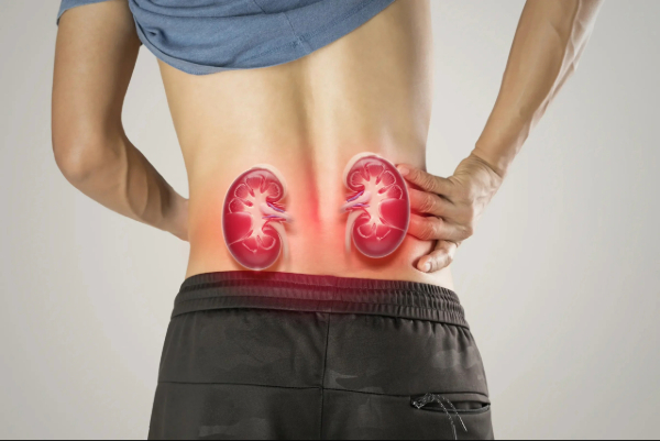 Silent Kidney Damage: Early Warning Signs You Should Never Ignore