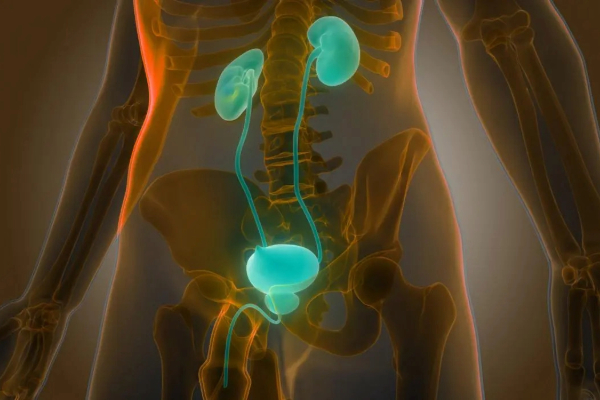 Tired of Kidney Stones & Prostate Problems? Hyderabad's Top Urologist Has the Answer