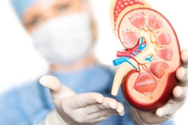 Who is a Urologist? What they do and what to expect?